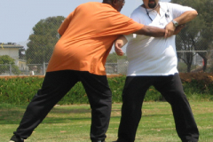 tai_chi_defense1