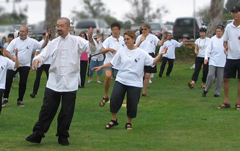tai_chi_form2