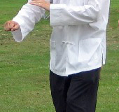 tai_chi_form5