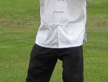 tai_chi_form6